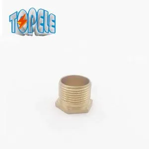 Gevind Hexagon Messing Bush